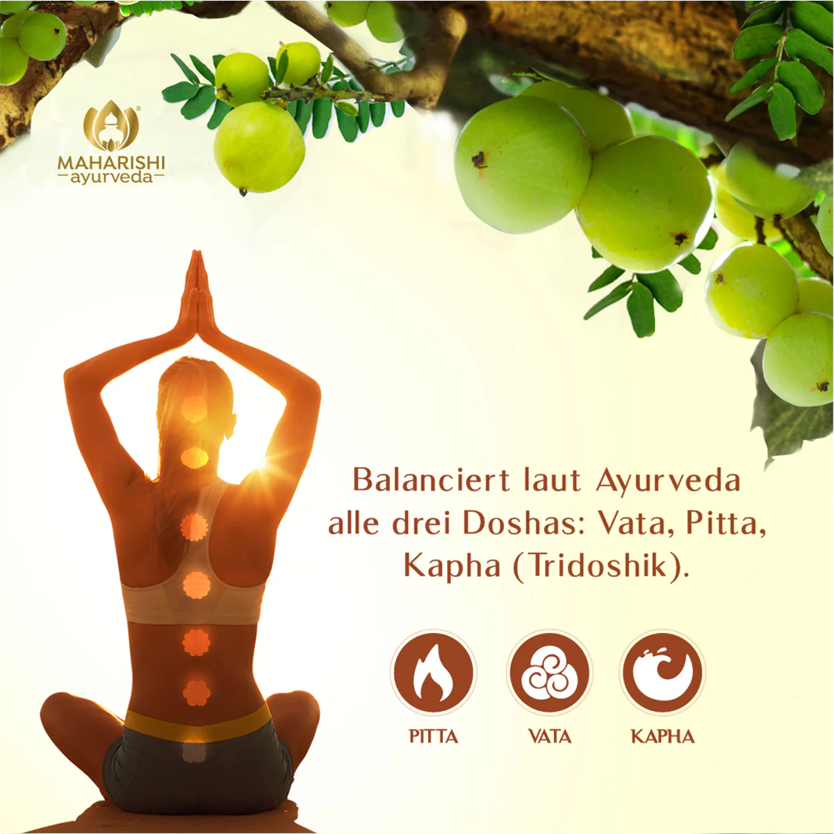 Amalaki Bio Super Herb – Amla Nahrungsergänzung, Bio Ayurveda Kräuter - Image 4