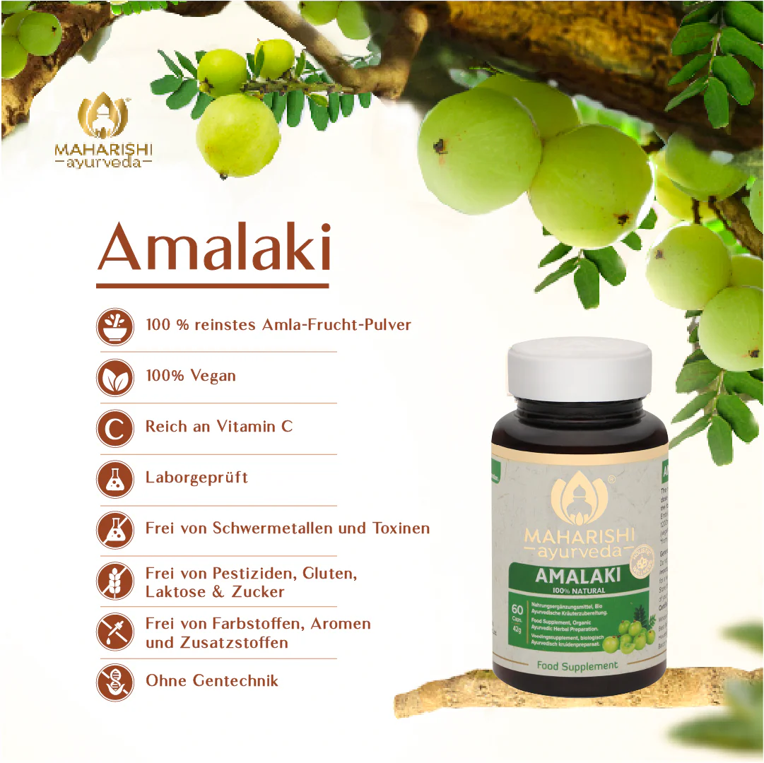 Amalaki Natural Super Herb – Amalaki Nahrungsergänzung, Ayurveda Kräuter - Image 11