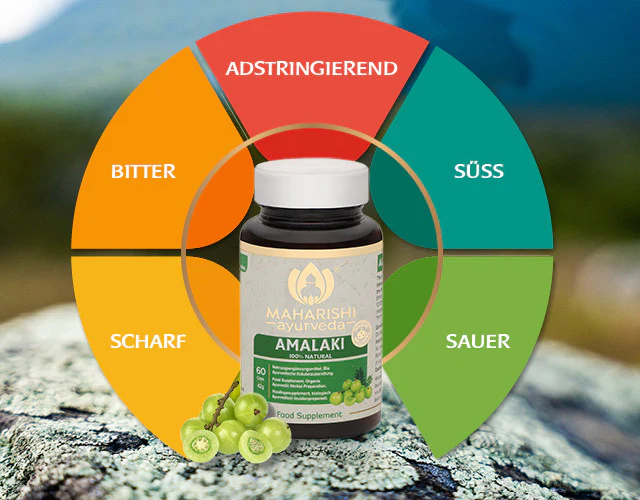 Amalaki Natural Super Herb – Amalaki Nahrungsergänzung, Ayurveda Kräuter - Image 3