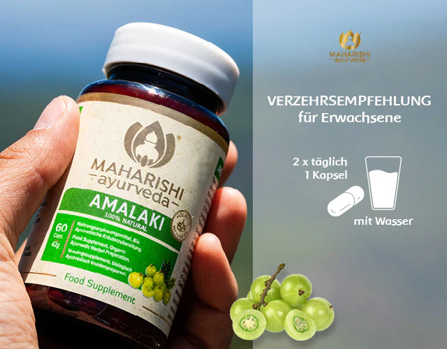 Amalaki Natural Super Herb – Amalaki Nahrungsergänzung, Ayurveda Kräuter - Image 5