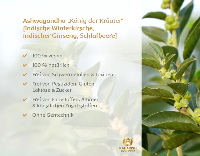 Ashwagandha Natural Super Herb – Ashwagandha Nahrungsergänzung - Image 5