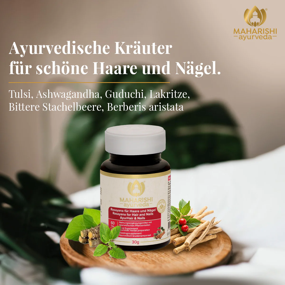 Rasayana für Haare und Nägel MA 953 – Ayurveda Nahrungsergänzung - Image 4