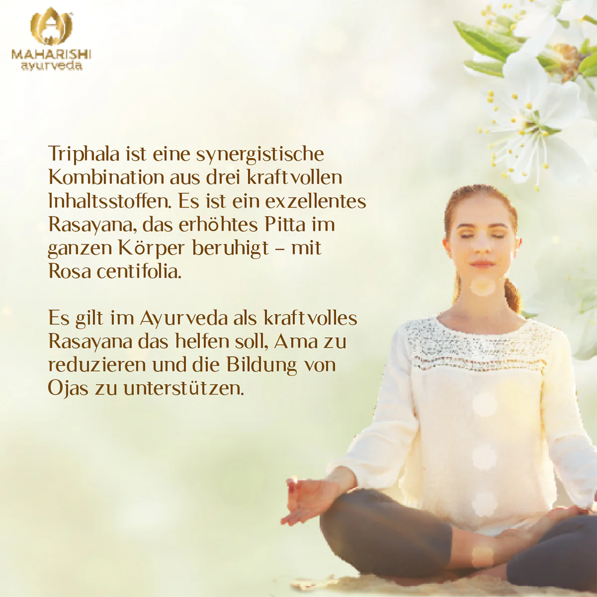 Triphala Plus (Bio), 250 g MA 505 – Ayurveda Nahrungsergänzung mit Kräutern - Image 5