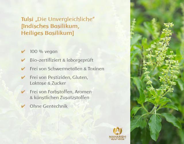Tulsi Natural - Image 5